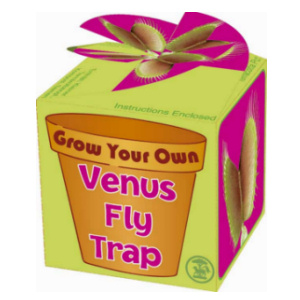 Venus Flytrap vleesetende plant